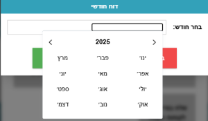 דוח מכירות חודשי